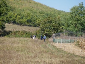 P1170281