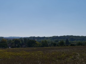 P1170287